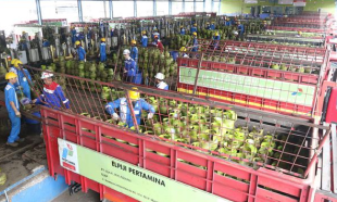 Pelatihan Operator SPBE